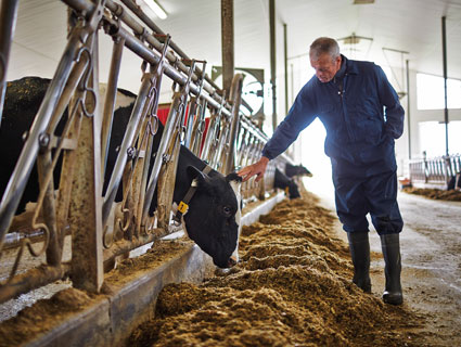 Nutrición Animal | Cargill Argentina Nutrición Animal | Cargill Argentina
